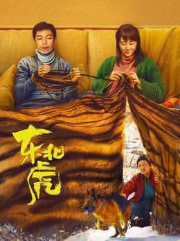 东北虎