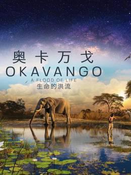 奥卡万戈：生命的洪流