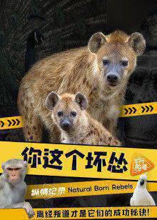 你这个坏怂普通话