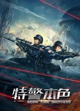 特警本色