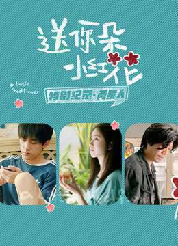 送你一朵小红花·特别纪录第2集