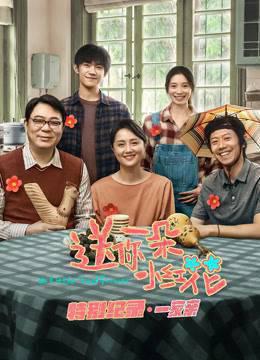 送你一朵小红花·特别纪录第1集