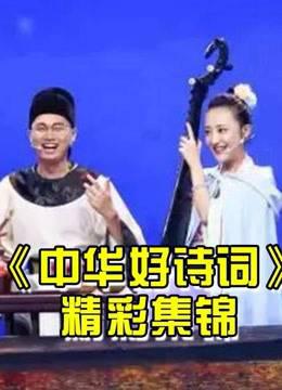 《中华好诗词》是中国原创诗词节目，已弘扬传统诗词文化为宗旨！