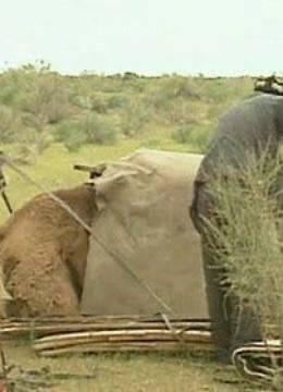 走入红色的沙漠