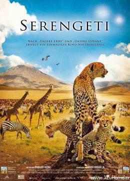 非洲塞伦盖蒂国家公园