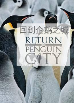 回到企鹅之城