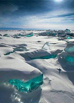 环球奇闻大搜索