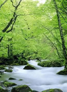 南水北调中线南阳纪实