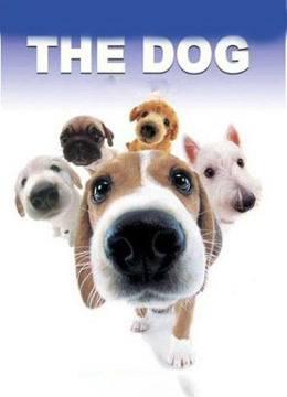 改变世界的狗狗