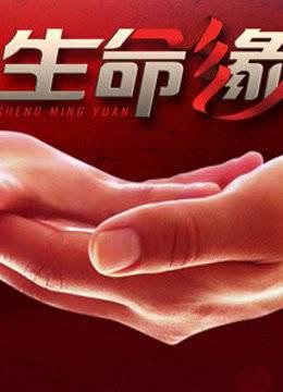 生命缘第四季