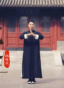 传统文化，名家人物专访