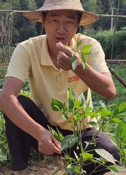 东哥美好生活第三季