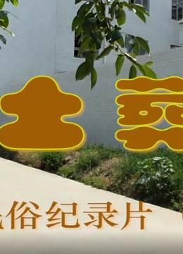 陕西民俗纪录片《土葬》