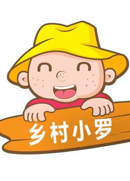 乡村小罗
