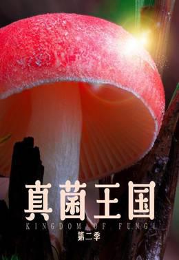 真菌王国第二季