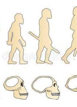 人类共同的祖先：智人