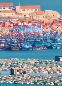 爱在烟台难以离开