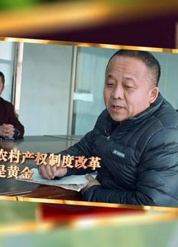 农村集体产权制度改革进行时