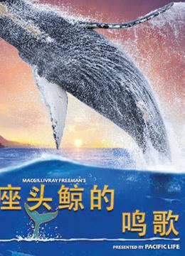座头鲸的鸣歌