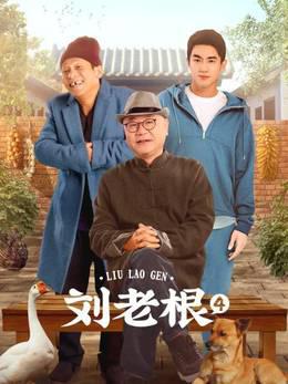 刘老根第4部