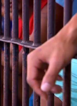 无奇不有神奇的世界