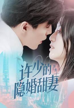 许少的隐婚甜妻第一季
