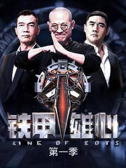 铁甲雄心第一季