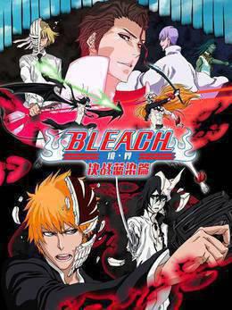 bleach境·界决战蓝染篇