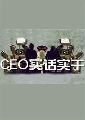 CEO实话实干2011