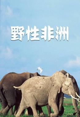 野性非洲
