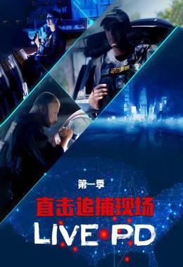 直击追捕现场：LIVEPD第一季
