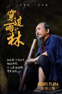 穿过雨林