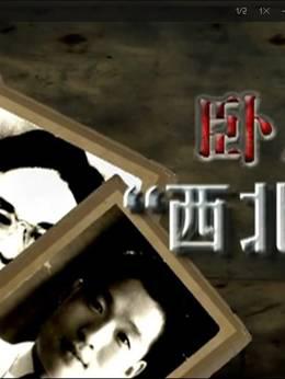 卧底西北王1