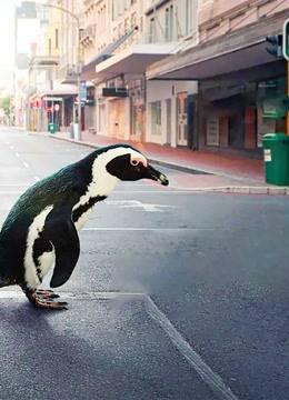 新冠疫情肆虐至今，发生了一些你不知道的事，《地球改变之年》