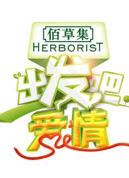 出发吧爱情