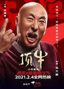 顶牛
