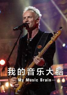我的音乐大脑