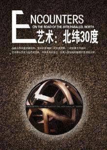 艺术：北纬30度