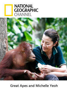 杨紫琼与红毛猩猩