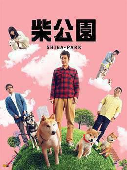柴犬公园