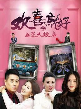 欢喜就好之五星大饭店