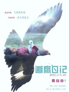 追鹰日记普通话