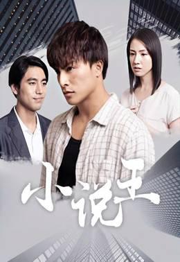 小说王