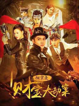 探案录财宝大劫案
