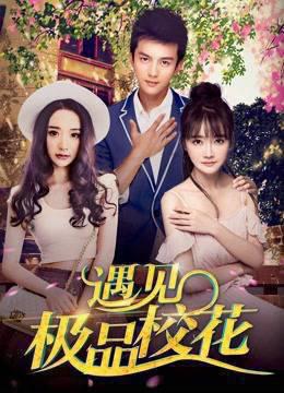 遇见极品校花