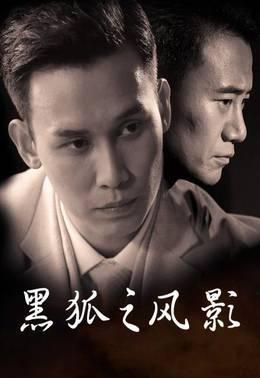 黑狐之风影