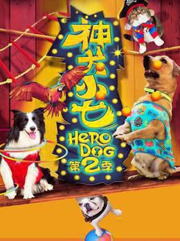 神犬小七第二季