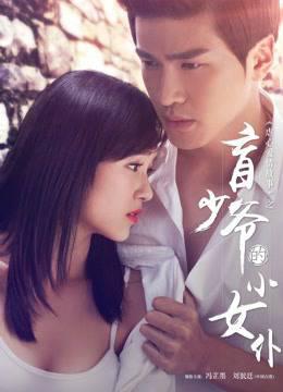 盲少爷的小女仆2016
