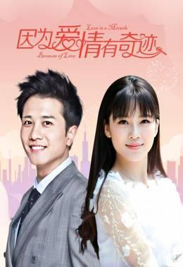 因为爱情有奇迹TV版