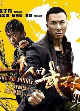 一个人的武林